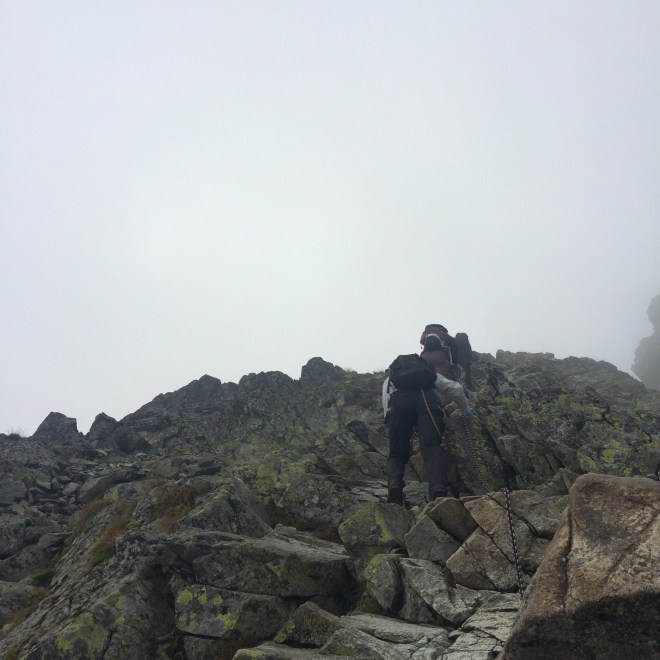Widok 10